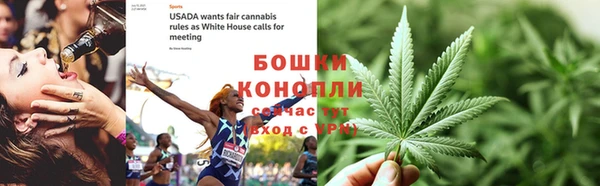 ПСИЛОЦИБИНОВЫЕ ГРИБЫ Богородицк