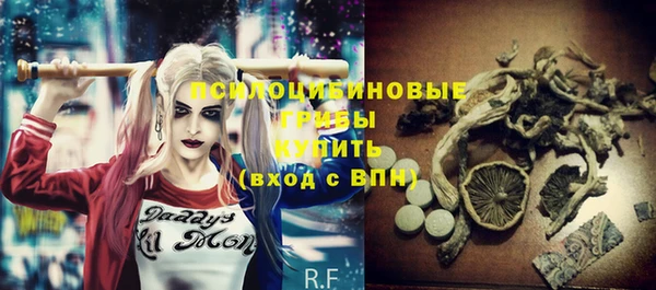 ПСИЛОЦИБИНОВЫЕ ГРИБЫ Богородицк